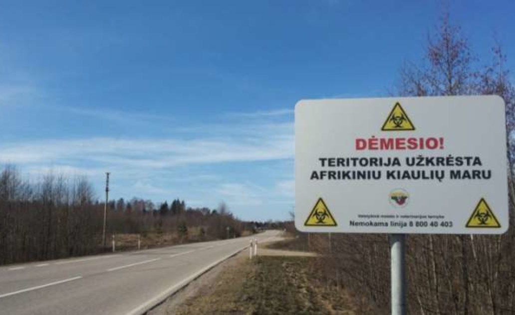  Afrikinis kiaulių maras - griežtinama Lenkijos pasienio ūkių kontrolė