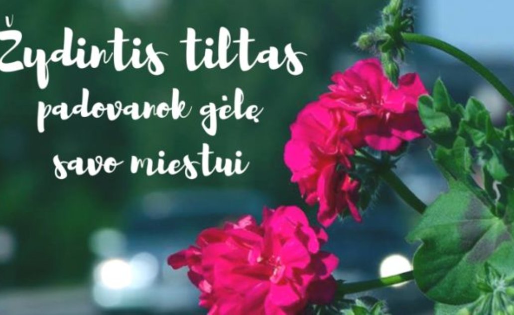 „Žydintis tiltas". Padovanok gėlę savo miestui!