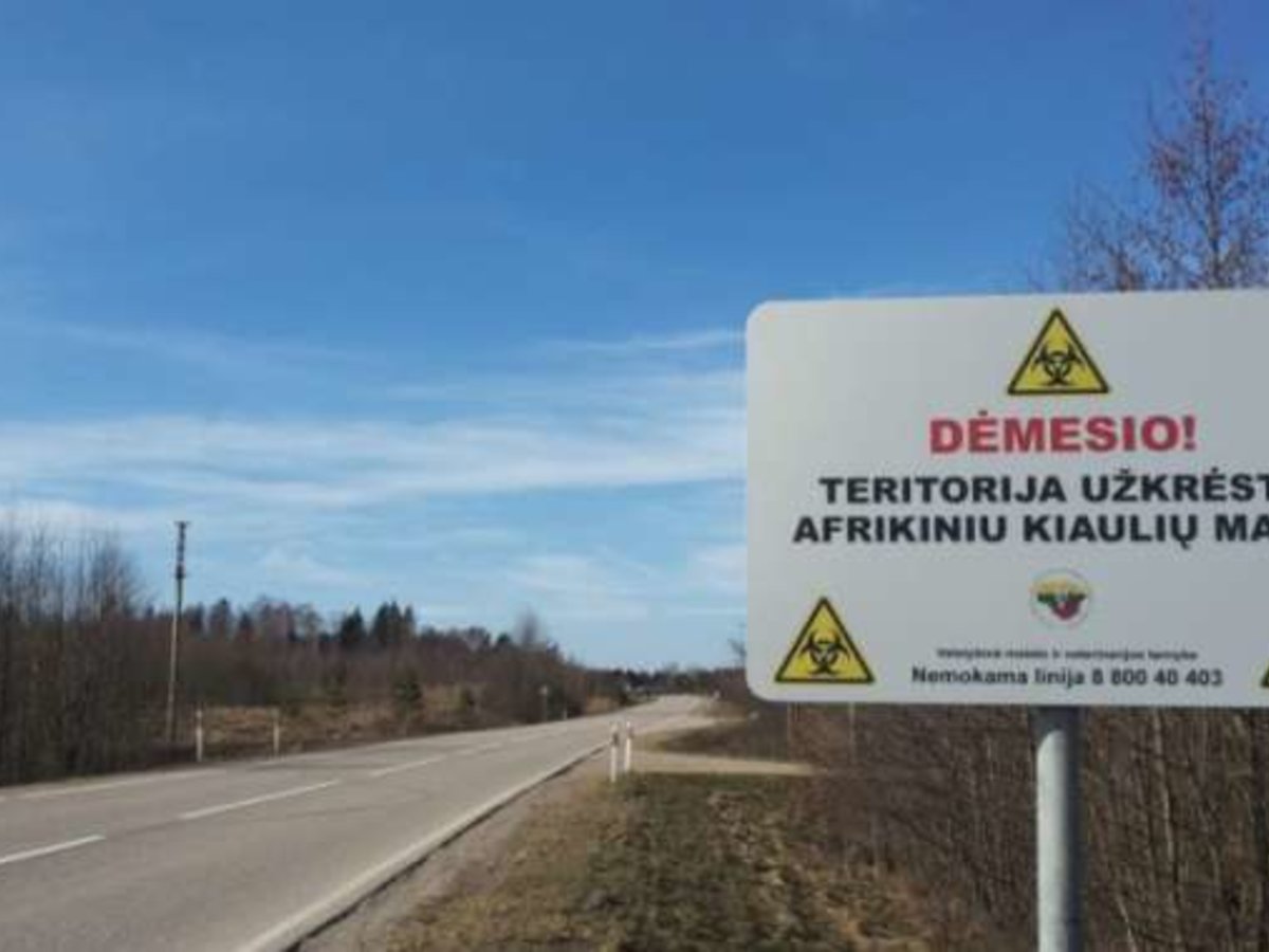  Afrikinis kiaulių maras - griežtinama Lenkijos pasienio ūkių kontrolė