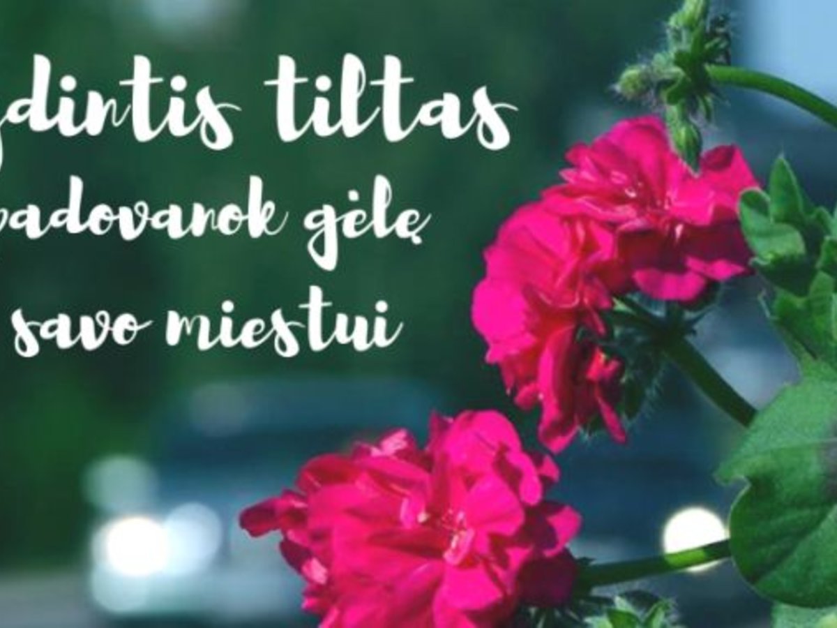 „Žydintis tiltas". Padovanok gėlę savo miestui!