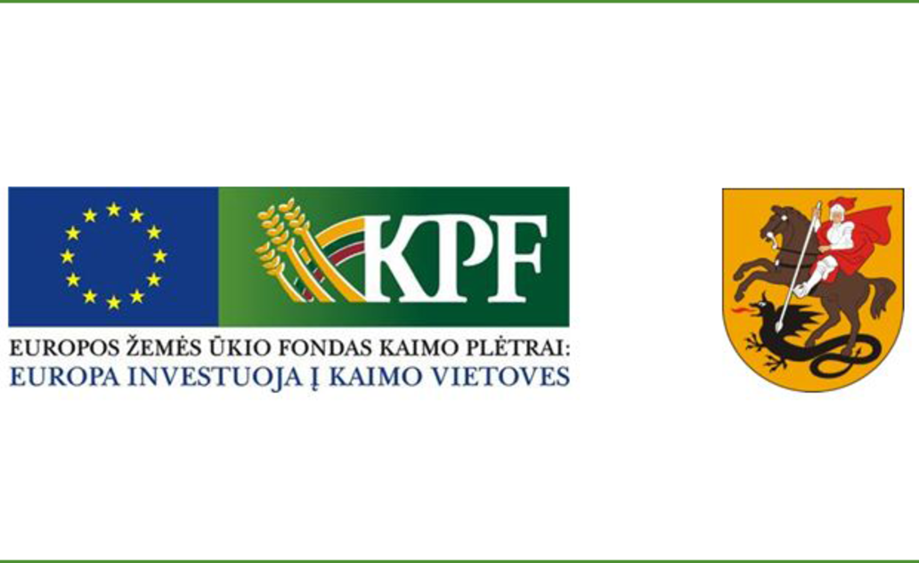 Puskelnių kaimo gatvės kitąmet sulauks tvarkymo darbų