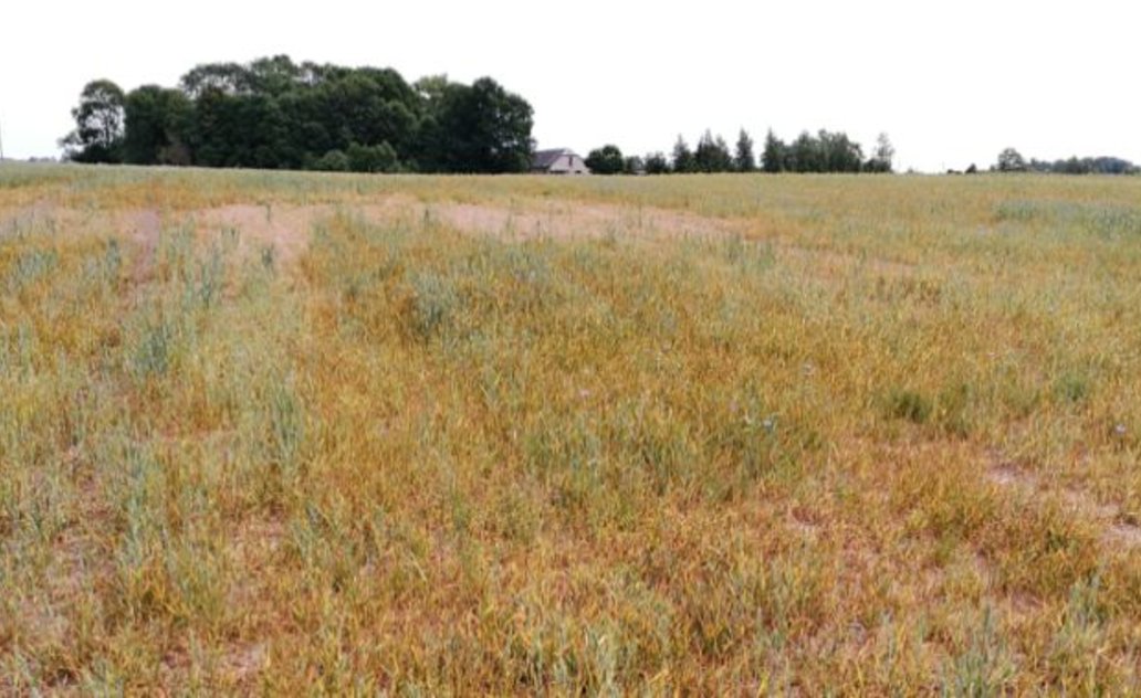 Marijampolės savivaldybėje - 40 proc. mažesnis žemės ūkio paskirties 2018 m. žemės mokestis