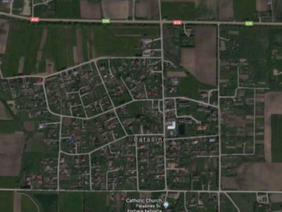 Atšaukti apribojimai Patašinės kaime dėl buvusio kiaulių maro