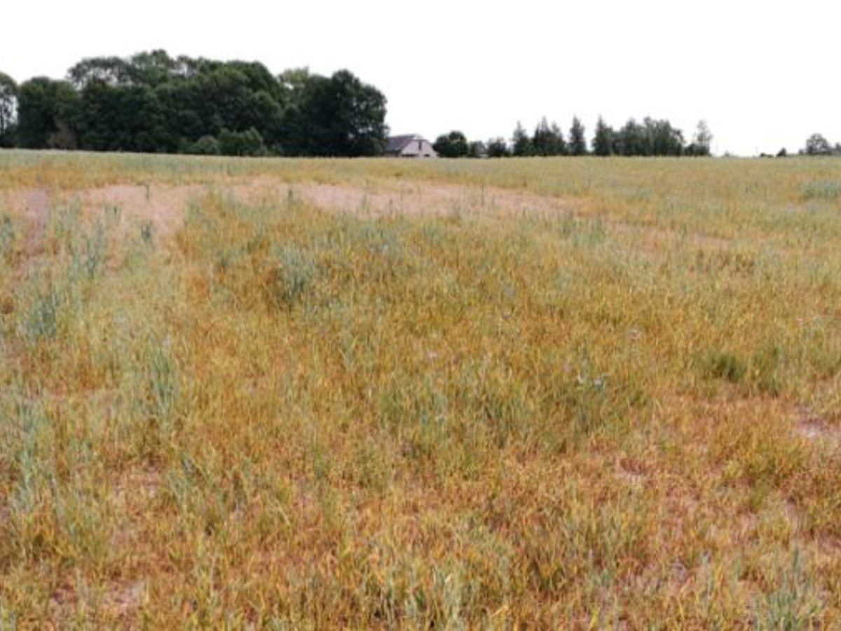 Marijampolės savivaldybėje - 40 proc. mažesnis žemės ūkio paskirties 2018 m. žemės mokestis