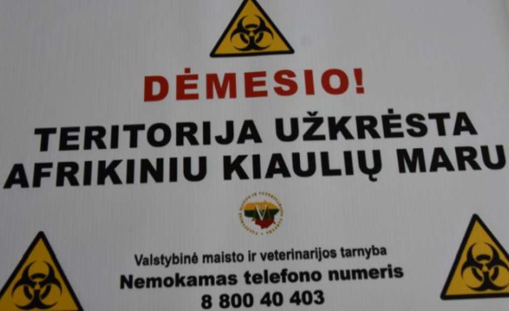 Buktos miške afrikinio kiaulių maro atvejis