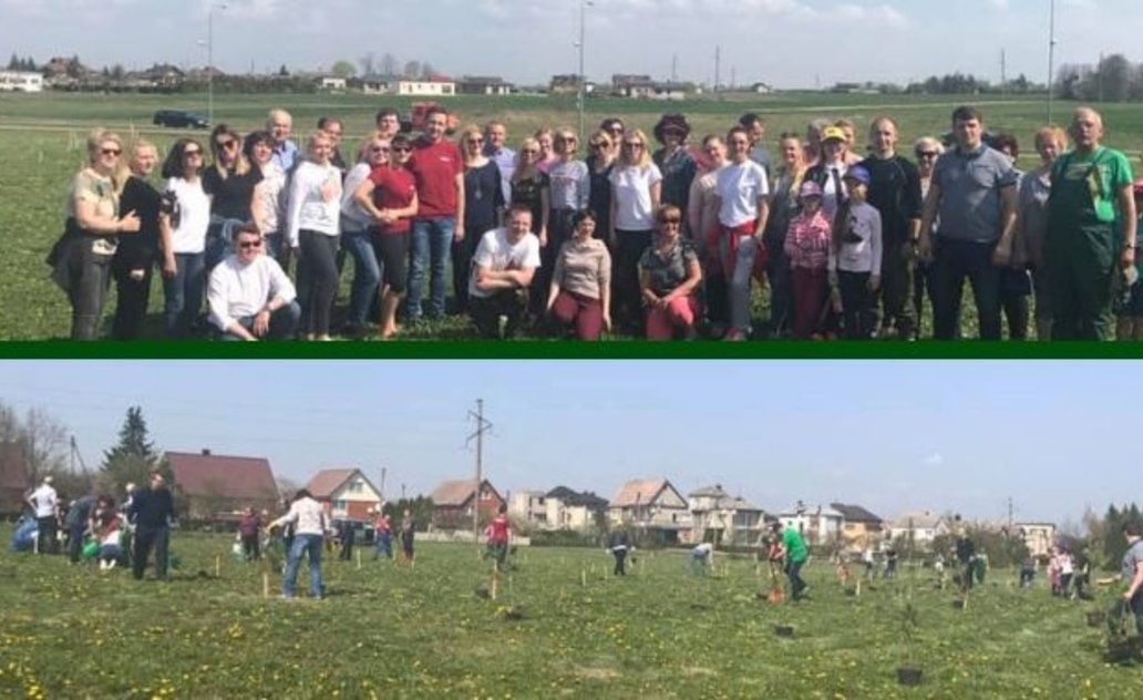 Beveik 100 medžių Marijampolei!