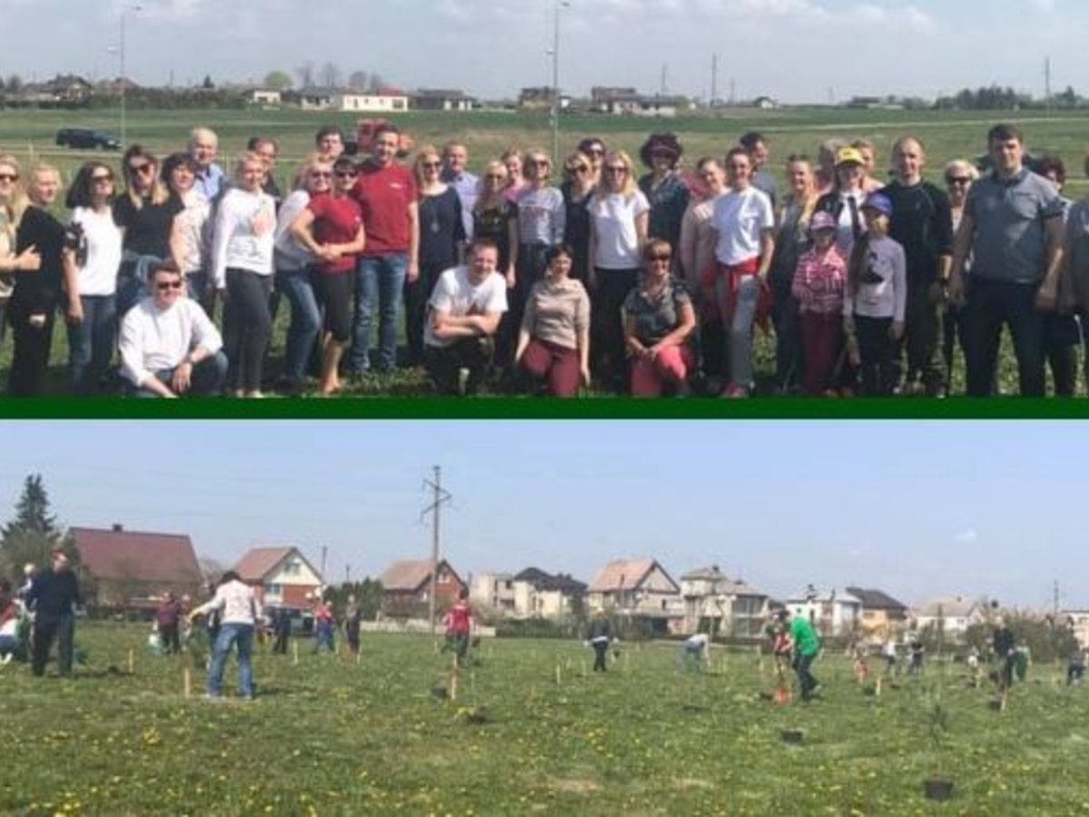 Beveik 100 medžių Marijampolei!