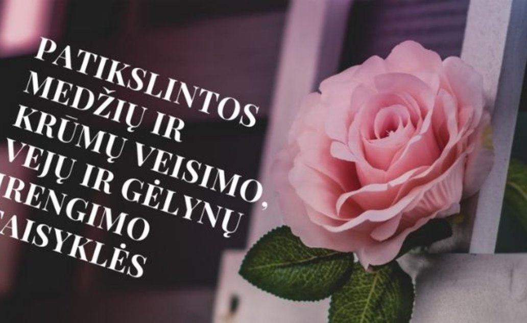Patikslintos Medžių ir krūmų veisimo, vejų ir gėlynų įrengimo taisyklės