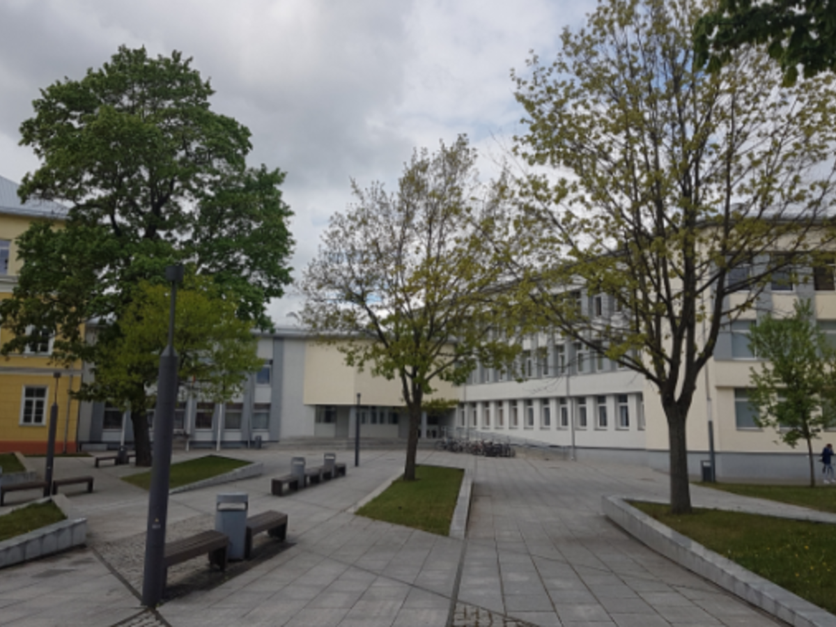 Rygiškių Jono gimnazija taps modernesnė