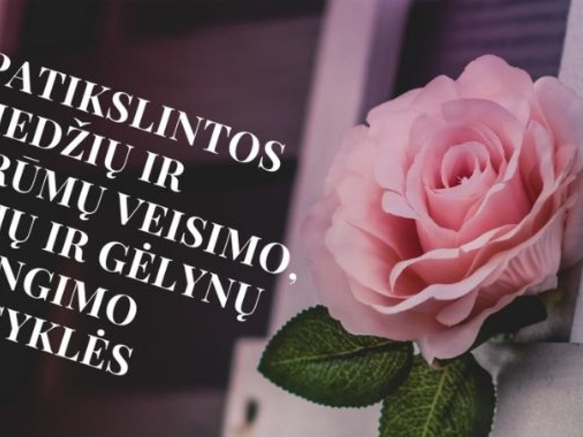 Patikslintos Medžių ir krūmų veisimo, vejų ir gėlynų įrengimo taisyklės
