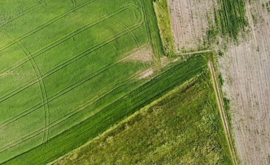 Apie sprendimo priėmimą „Dėl kaimo plėtros projekto rengimo ir pasiūlymų teikimo“