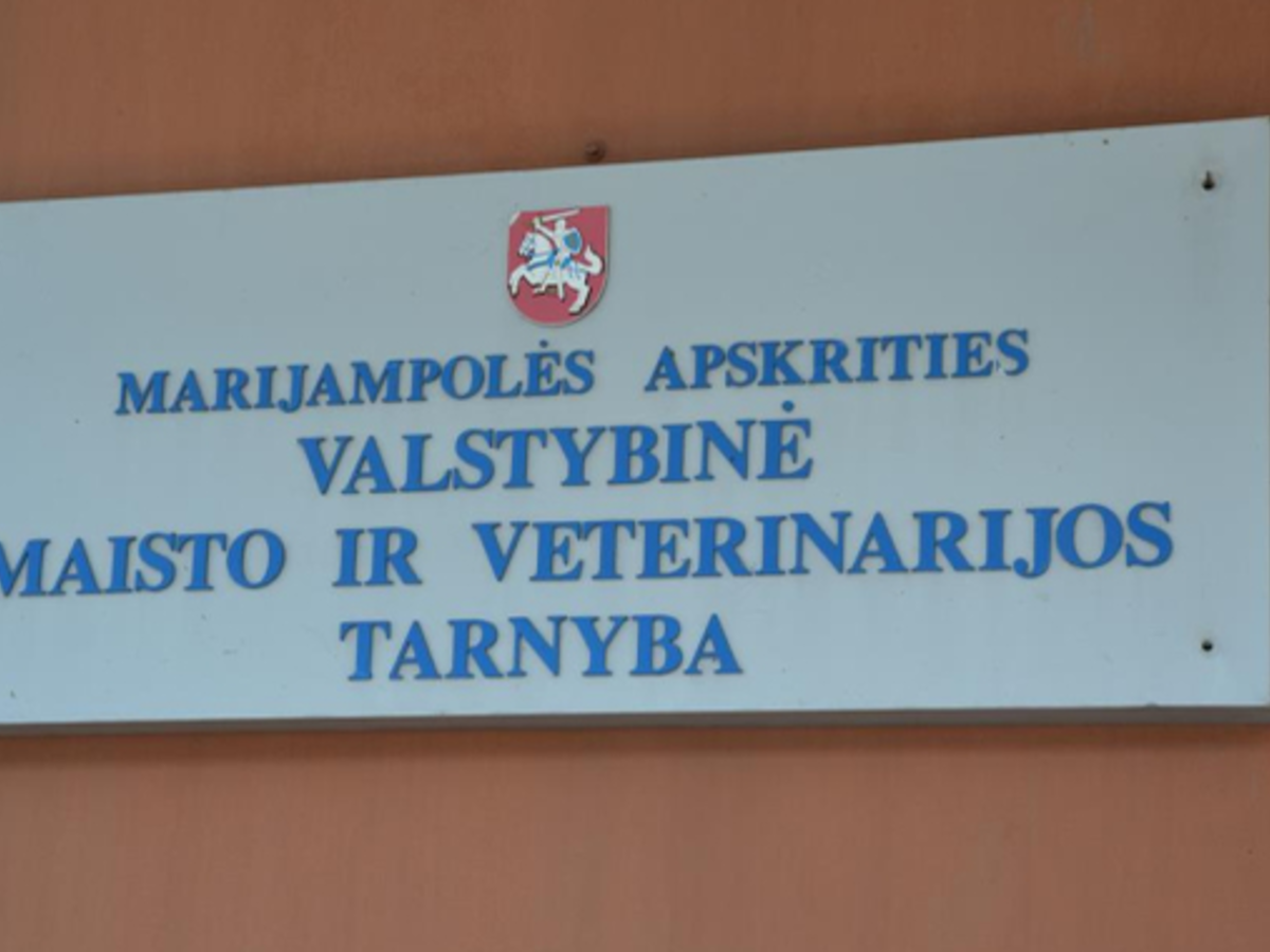 Patvirtintas pirmasis šiais metais AKM protrūkis kiaulių ūkyje
