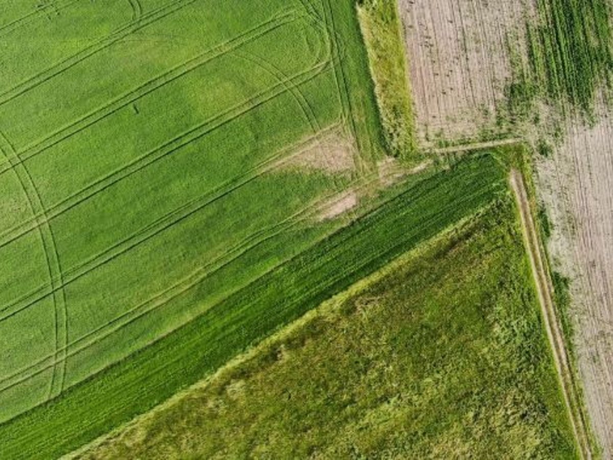 Apie sprendimo priėmimą Dėl kaimo plėtros projekto rengimo ir pasiūlymų teikimo