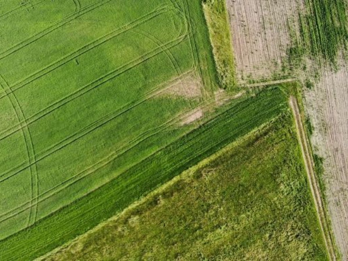 Apie sprendimo priėmimą „Dėl kaimo plėtros projekto rengimo ir pasiūlymų teikimo“