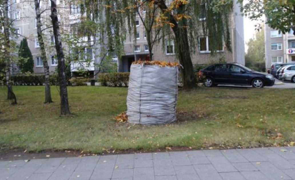 Lapų rinkimui dalinami dideli maišai