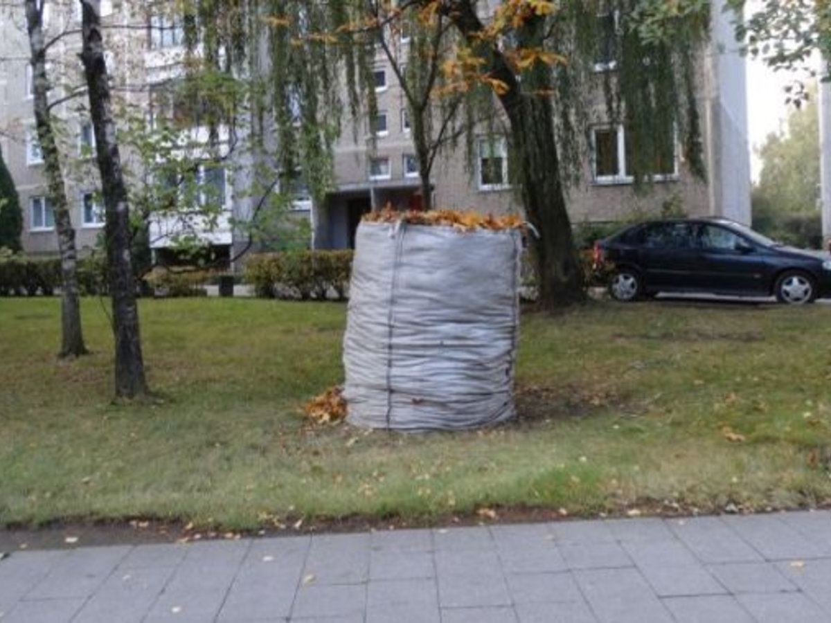 Lapų rinkimui dalinami dideli maišai