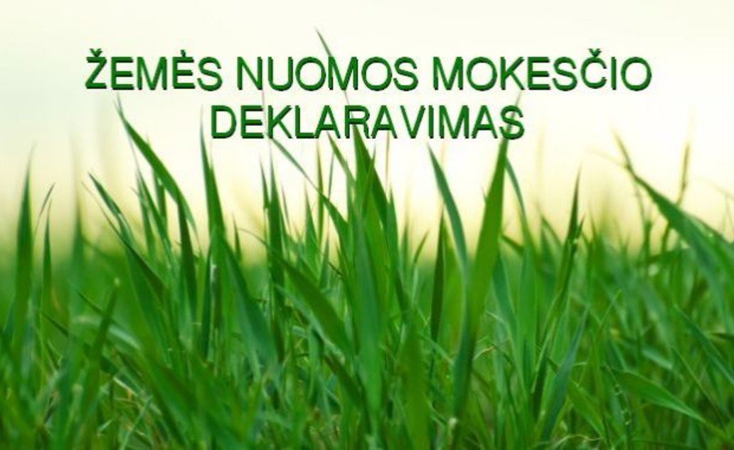 Juridinių asmenų valstybinės žemės nuomos mokesčio deklaracija