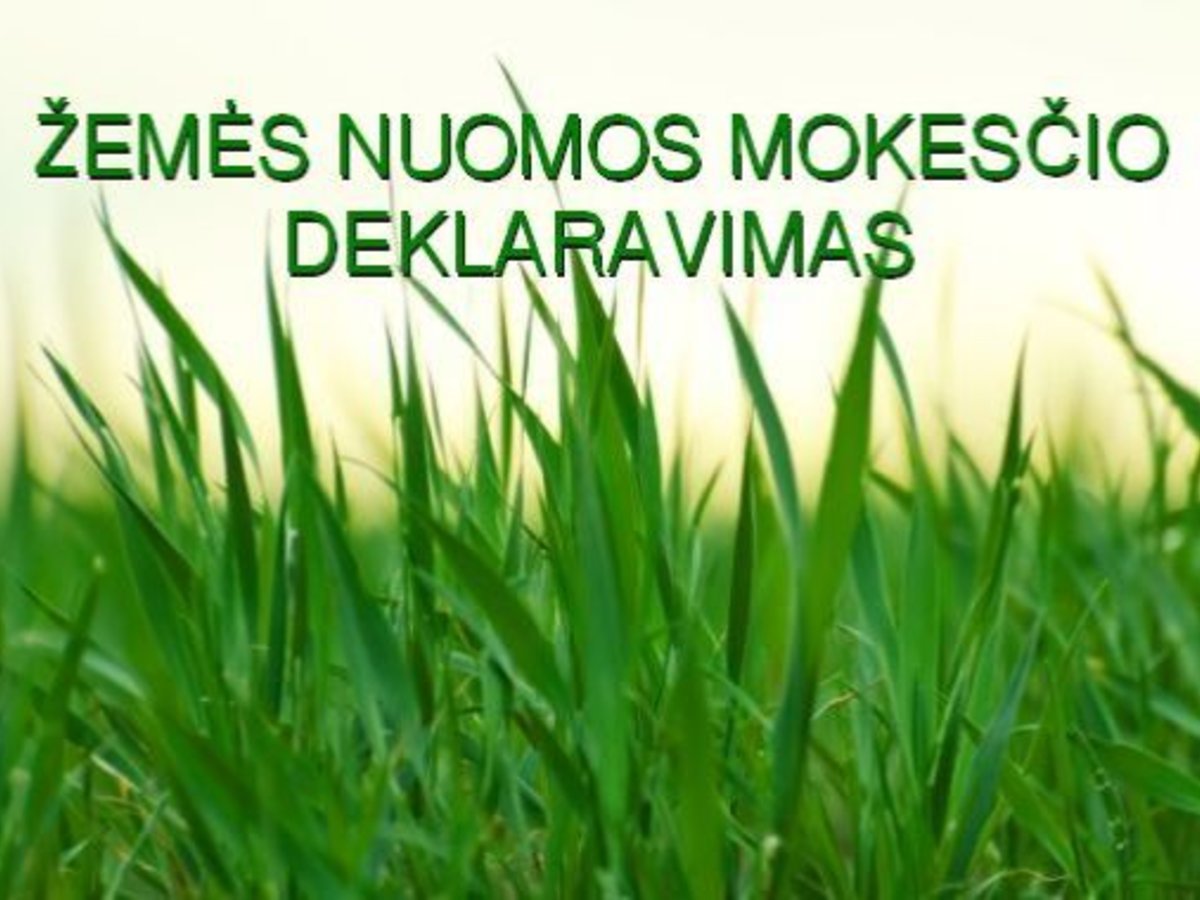 Juridinių asmenų valstybinės žemės nuomos mokesčio deklaracija