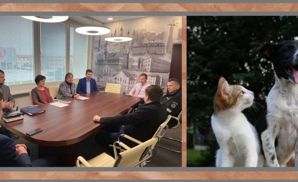 Marijampoliečiai neabejingi beglobiams gyvūnams
