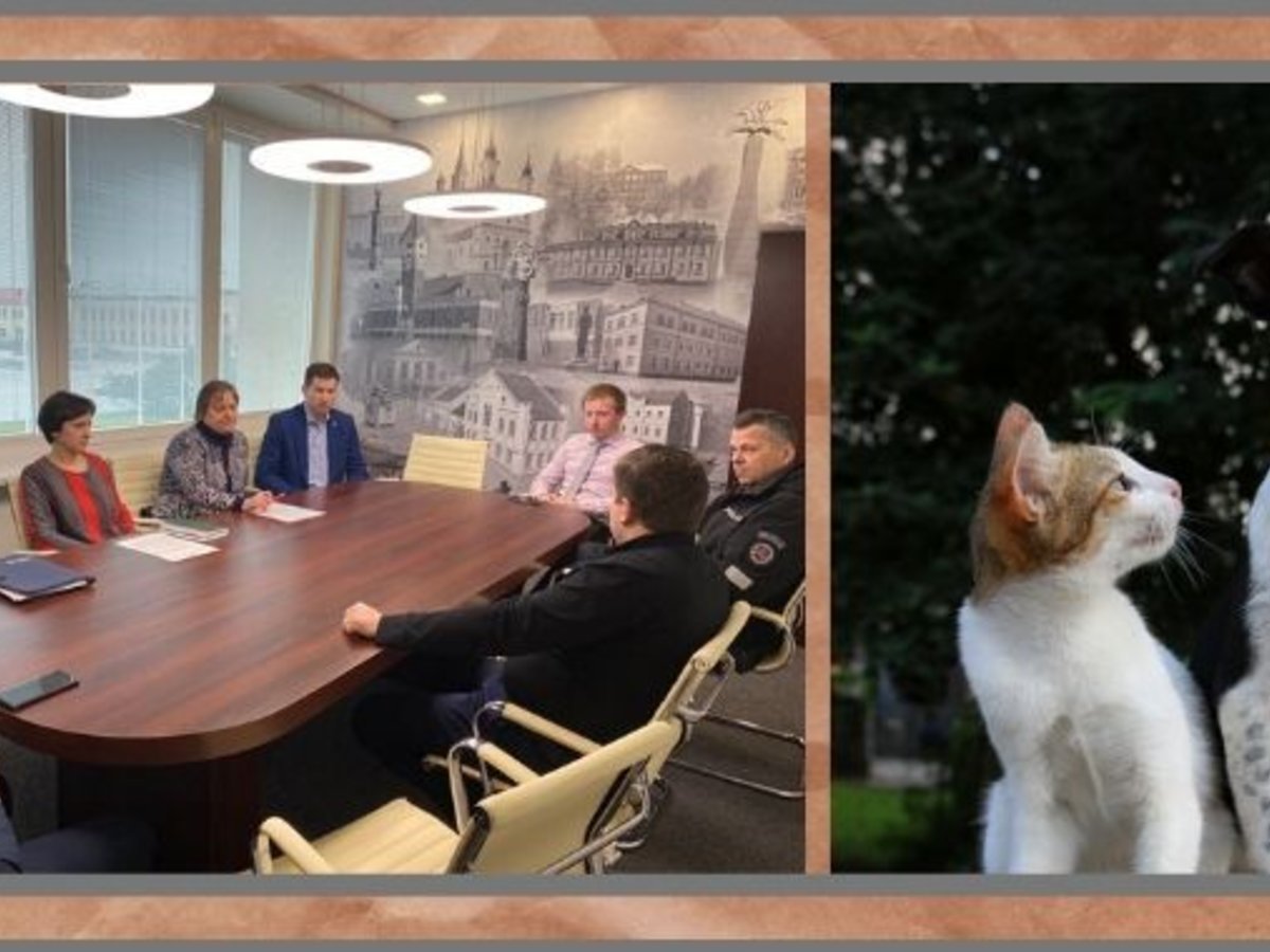 Marijampoliečiai neabejingi beglobiams gyvūnams