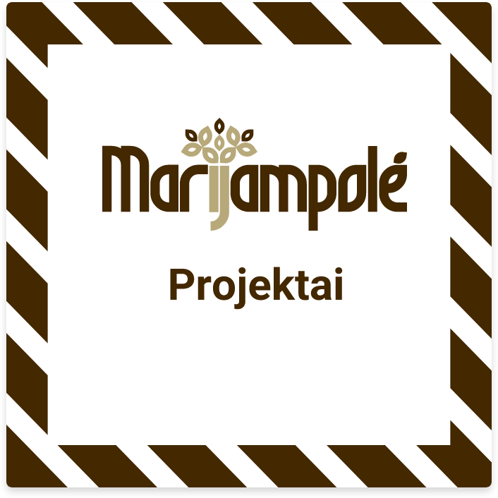 Projektai